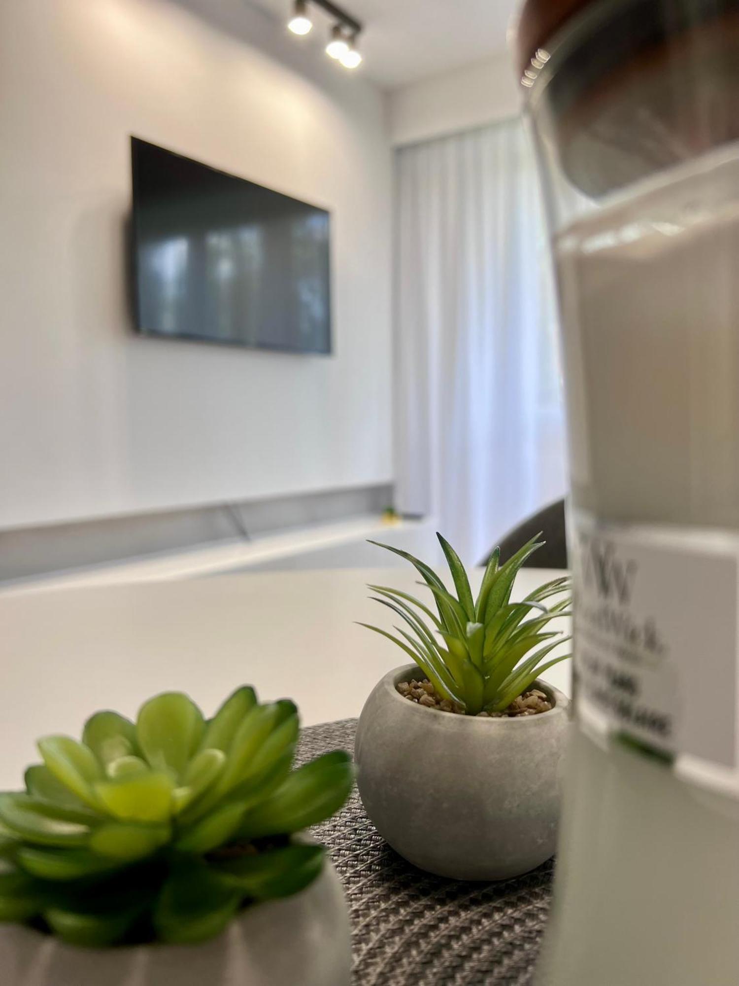 M&S Lux Apartments Kochanowskiego Lodz  Ngoại thất bức ảnh